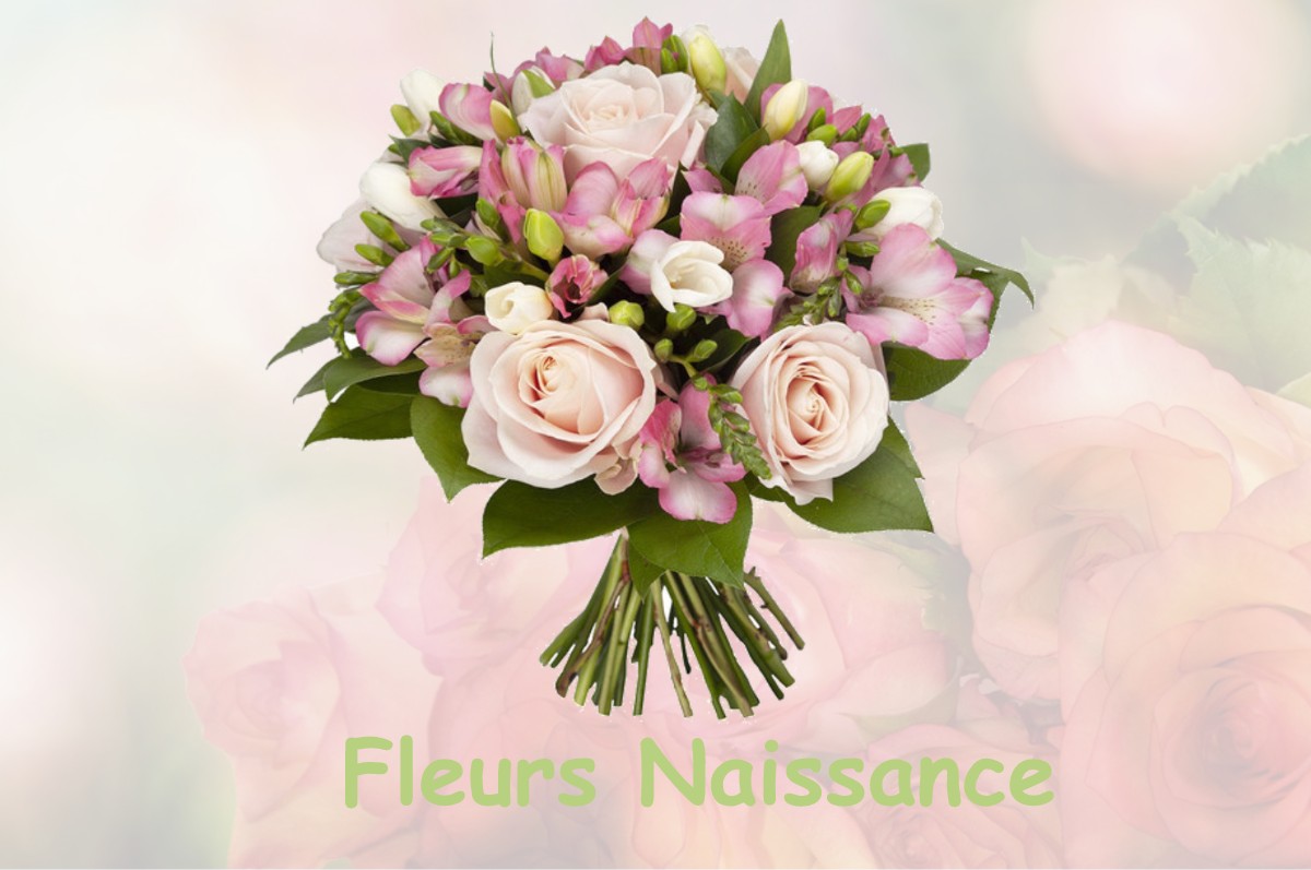 fleurs naissance MOGEVILLE