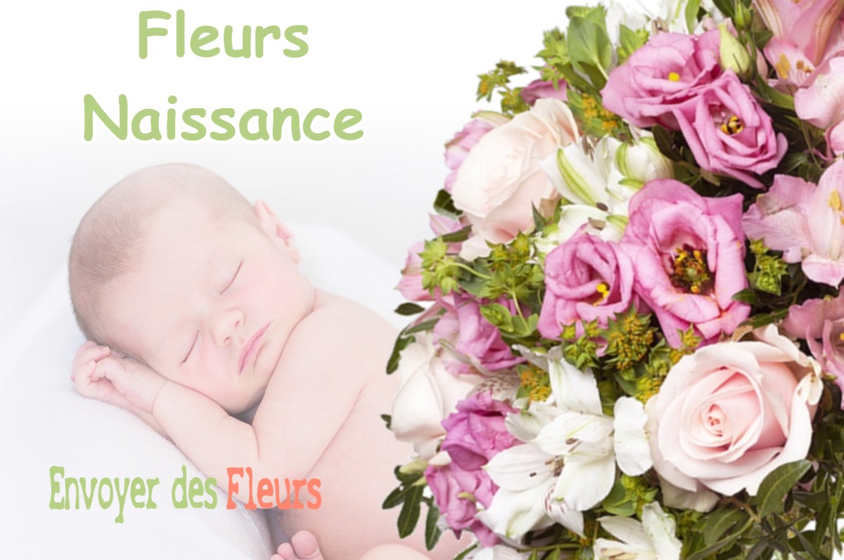 lIVRAISON FLEURS NAISSANCE à MOGEVILLE